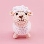 CURIOUS LITTLE LAMB DUODUO