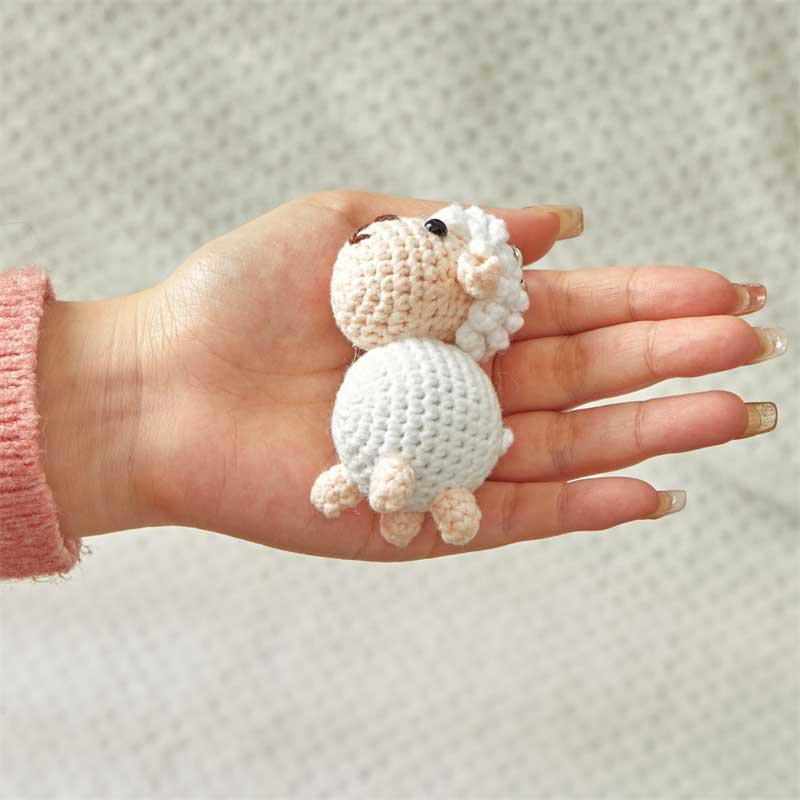curious-little-lamb-duoduo-4