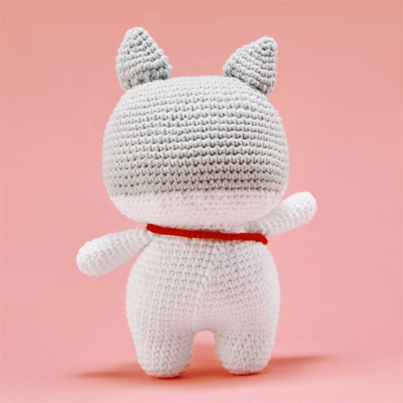 energetic-little-gray-cat-cici-3